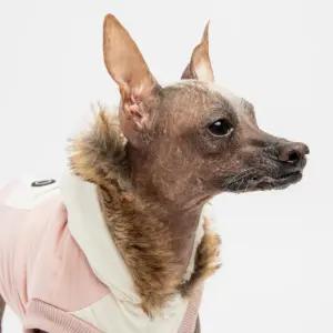 Ava Jacket - Pink